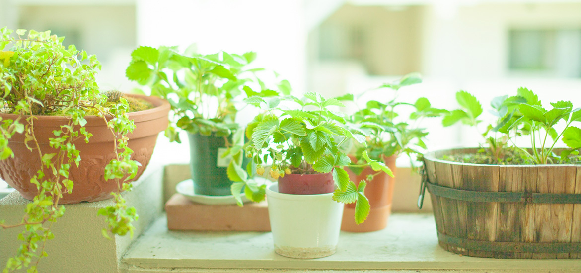 医療法人社団榮和会 えいもと内科・消化器内科クリニック